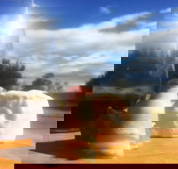 Fork it Farm - Accommodation Coffs Harbour