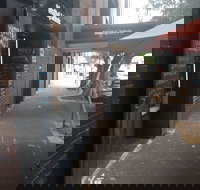 Matty and John's Espresso Bar - Accommodation Coffs Harbour