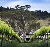 Mount Majura Vineyard - Accommodation Coffs Harbour
