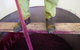 Mount Majura Vineyard - thumb 2