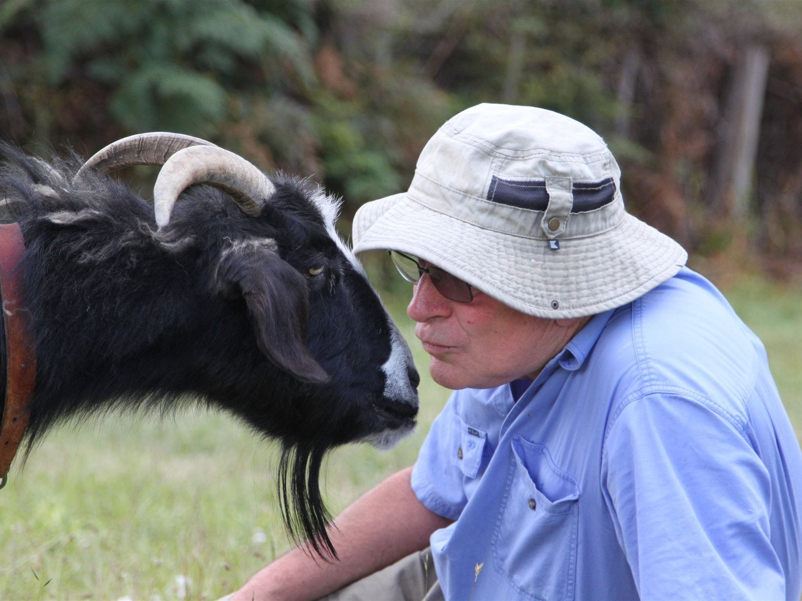 Lower Turners Marsh TAS Accommodation Coffs Harbour