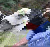 Providence Vineyards - Accommodation Coffs Harbour