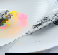 Old England Hotel - Accommodation Coffs Harbour