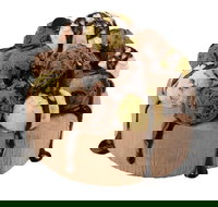 Wendy's - Moore Park - Accommodation Coffs Harbour