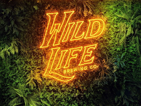 Wild Life Brewing Co. - Accommodation Coffs Harbour 0