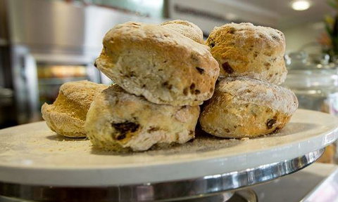 Hide N Seek Espresso - Accommodation Coffs Harbour 6