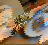 Museum Coffee Shop - Accommodation Coffs Harbour