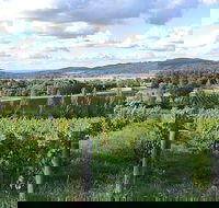 Sassy Wines - Accommodation Coffs Harbour