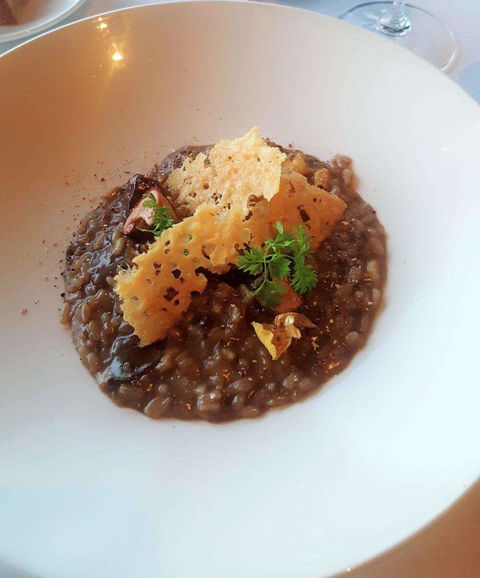 Wild Dog Restaurant - Accommodation Coffs Harbour 0