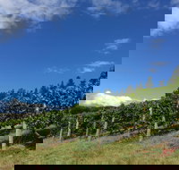 Freycinet Vineyard - Accommodation Coffs Harbour