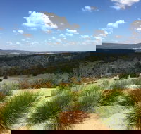 The Wine Collective - Accommodation Coffs Harbour