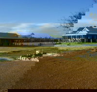Thomson Brook Wines - Accommodation Coffs Harbour
