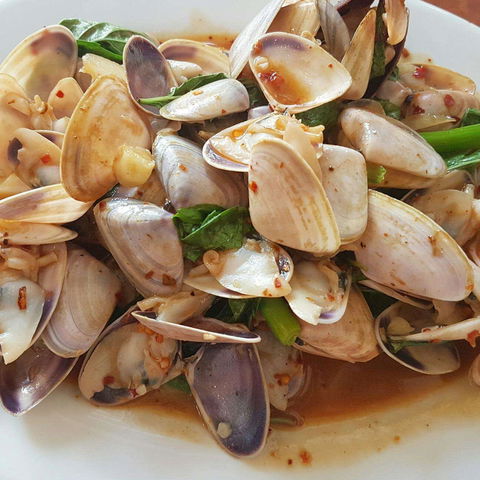 Angkor Reach - Accommodation Coffs Harbour 0