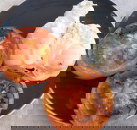 The Deck Poolside Bar  Restaurant - Accommodation Coffs Harbour