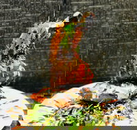 Cafe Bear and Scoobs - Accommodation Coffs Harbour