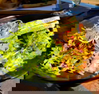 Oceanside Bar - Accommodation Coffs Harbour