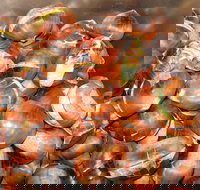 Tweenhills Chestnuts - Accommodation Coffs Harbour