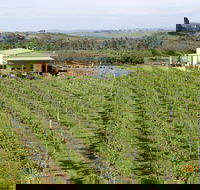 Dindima Wines - Accommodation Coffs Harbour