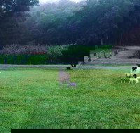 Goat Hill Farm - Accommodation Coffs Harbour