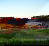 Dalwhinnie Wines - Accommodation Coffs Harbour