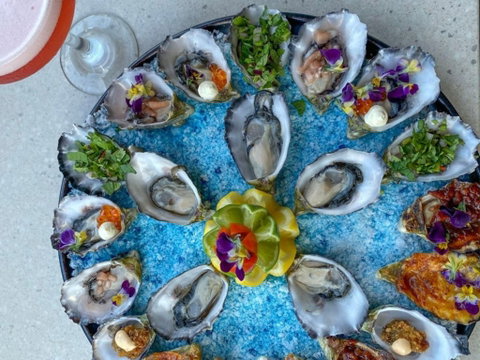 Oyster Bar Darwin - Accommodation Coffs Harbour 2