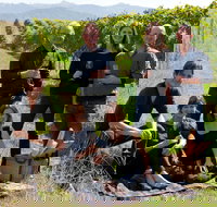 Pizzini Wines King Valley - Accommodation Coffs Harbour