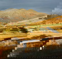 Optimiste Wines - Accommodation Coffs Harbour