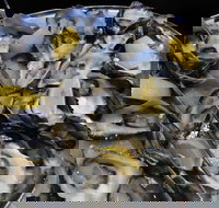 View 42o - Accommodation Coffs Harbour