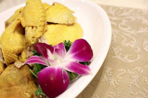 Asian Chef - Accommodation Coffs Harbour 0