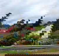 Frank's Cider House  and Cafe - Accommodation Coffs Harbour