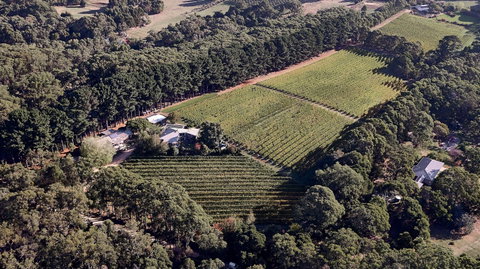 Main Ridge Estate - Accommodation Coffs Harbour 1