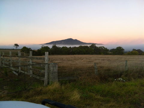 Mountainside Wines - Accommodation Coffs Harbour 0
