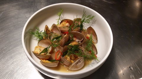 Anchovy - Accommodation Coffs Harbour 0