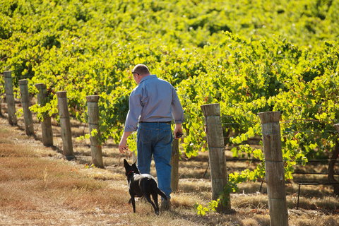 Eden Hall Wines - Accommodation Coffs Harbour 1