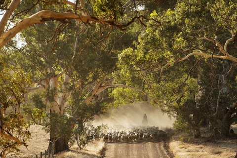 Eden Hall Wines - Accommodation Coffs Harbour 2