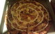 Galileo's Pizza Cafe - thumb 0