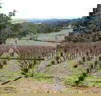 Habitat Vineyard - Accommodation Coffs Harbour