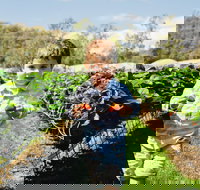 Hillwood Berries Farmgate  Pick Your Own - Accommodation Coffs Harbour