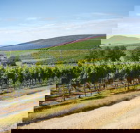 Jansz Tasmania - Accommodation Coffs Harbour