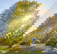 Brown Brothers Milawa Vineyard - Accommodation Coffs Harbour