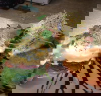 Cafe in the Mountains - Accommodation Coffs Harbour