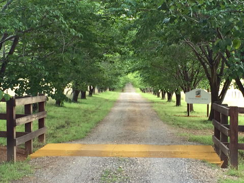 Stockmans Ridge Wines - Accommodation Coffs Harbour 1