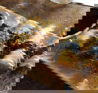 Taphouse Mulberry Estate - Accommodation Coffs Harbour