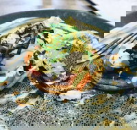 The Lounge Room - Accommodation Coffs Harbour