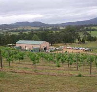 Villa d Esta Vineyard - Accommodation Coffs Harbour