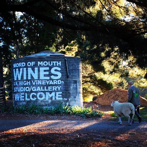 Word Of Mouth Wines - Accommodation Coffs Harbour 1