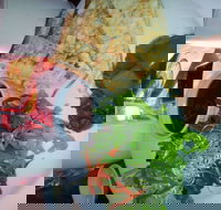 Bistro on Cinders - Accommodation Coffs Harbour