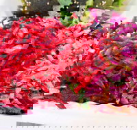 Iron Chef Chinese and Malaysian Restaurant - Accommodation Coffs Harbour