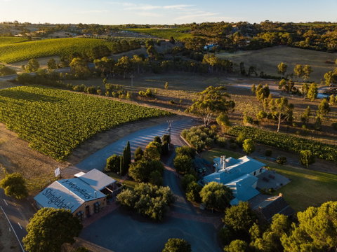 Shingleback Wine - Accommodation Coffs Harbour 0