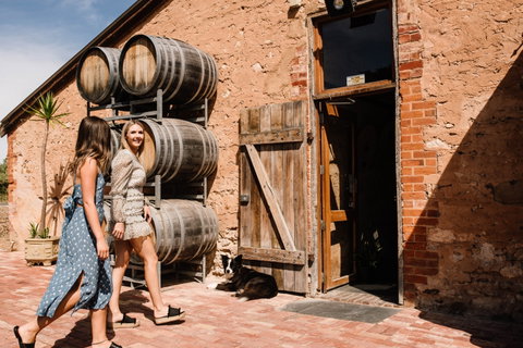 Shingleback Wine - Accommodation Coffs Harbour 1
